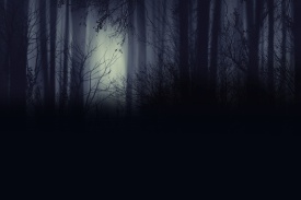 Spooky foggy forest at night wallpaper Creatie Abstract Background.
